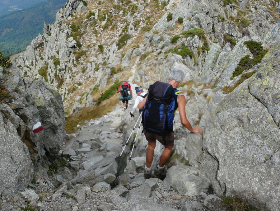 partagez vos passions